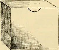 An illustration from Raphia and reed weaving, including also cardboard and paper construction; a practical course for primary and elementary schools (1901)