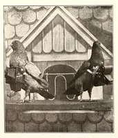 An illustration from Rapport officiel sur la première exposition internationale de locomotion aérienne (1910)