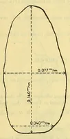 An illustration from Rapport sur une mission au Congo français (1906-1907) (1908)