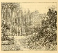 An illustration from Rapport sur une mission scientifique a la Côte d'Ivoire (1898)