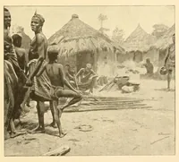 An illustration from Rapport sur une mission scientifique a la Côte d'Ivoire (1898)
