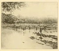 An illustration from Rapport sur une mission scientifique a la Côte d'Ivoire (1898)