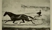 An illustration from Rare and interesting early American prints and paintings : on exhibition and sale at the Michaelsen Gallery ... New York (1900)