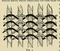 An illustration from A rare Salish blanket (1926)