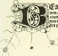 An illustration from Rariora; being notes of some of the printed books, manuscripts, historical documents, medals, engravings, pottery, etc., collected (1858-1900) (1902)