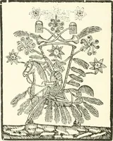 An illustration from Rariora; being notes of some of the printed books, manuscripts, historical documents, medals, engravings, pottery, etc., collected (1858-1900) (1902)