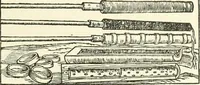 An illustration from Rariora; being notes of some of the printed books, manuscripts, historical documents, medals, engravings, pottery, etc., collected (1858-1900) (1902)