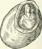 An illustration from Rariora; being notes of some of the printed books, manuscripts, historical documents, medals, engravings, pottery, etc., collected (1858-1900) (1902)