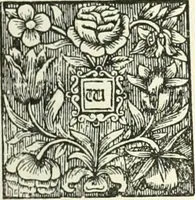 An illustration from Rariora; being notes of some of the printed books, manuscripts, historical documents, medals, engravings, pottery, etc., collected (1858-1900) (1902)