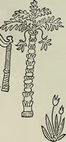 An illustration from Rasch international artists collection ; an exhibition at Associated American Artists Galleries .. (1900)