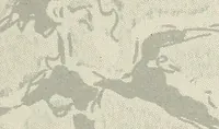 An illustration from Rasch international artists collection ; an exhibition at Associated American Artists Galleries .. (1900)