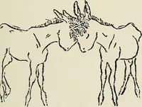 An illustration from Rasch international artists collection ; an exhibition at Associated American Artists Galleries .. (1900)