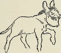 An illustration from Rasch international artists collection ; an exhibition at Associated American Artists Galleries .. (1900)