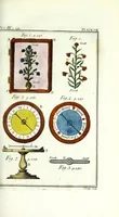 An illustration from Rational recreations : in which the principles of numbers and natural philosophy are clearly and copiously elucidated, by a series of easy, entertaining, interesting experiments : among which are all those commonly performed with the cards (1787)