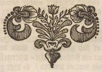 An illustration from Der Raupen wunderbare Verwandelung und sonderbare Blumen-Nahrung : worinnen durch eine gantz-neue Erfindung der Raupen, Würmer, Sommer-vögelein, Motten, Fliegen, und anderer dergleichen Thierlein Ursprung, Speisen und Veränderungen samt ihrer Zeit, Ort und Eigenschaften, den Naturkündigern, Kunstmahlern und Gartenliebhabern zu Dienst, fleissig untersucht, kürtzlich beschrieben, nach dem Leben abgemahlt ins Kupfer gestochen un selbst verlegt (1679)