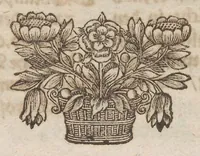 An illustration from Der Raupen wunderbare Verwandelung und sonderbare Blumen-Nahrung : worinnen durch eine gantz-neue Erfindung der Raupen, Würmer, Sommer-vögelein, Motten, Fliegen, und anderer dergleichen Thierlein Ursprung, Speisen und Veränderungen samt ihrer Zeit, Ort und Eigenschaften, den Naturkündigern, Kunstmahlern und Gartenliebhabern zu Dienst, fleissig untersucht, kürtzlich beschrieben, nach dem Leben abgemahlt ins Kupfer gestochen un selbst verlegt (1679)