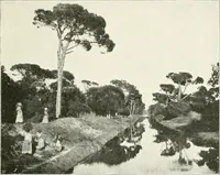 An illustration from Ravenne (1907)