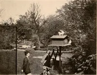 Picture 9 of 19 from Raymond, or Life and death : with examples of the evidence for survival of memory and affection after death (1916), leaf 254
