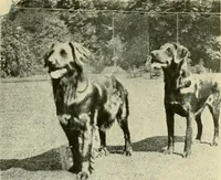 An illustration from Raymond, or life and death : with examples of the evidence for survival of memory and affection after death (1916)