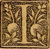 An illustration from Raymundi Lulli doctissimi et celeberrimi philosophi De secretis naturae, seu De quinta essentia liber vnus : in tres distinctiones diuisus, omnibus iam partibus absolutus. Adiecta est eiusdem epistola ad Regem Robertum de accurtatione lapidis philosophorum ; cui adiunctus est tractatus de aquis ex scriptis Raymundi super accurtationis epistolam ab artis studioso collectus (1567)