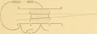 An illustration from Rayons cathodiques et rayons de Röntgen : Étude expérimentale (1897)