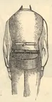 An illustration from Tajemnice magii i spirytyzmu w świetle nauki : podług źródeł obcych (1893)