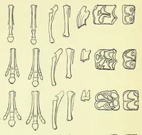 An illustration from Darwinism: an exposition of the theory of natural selection (1905)