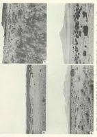 An illustration from The Supposed Effects of the Color Tone of the Background Upon the Coat Color of Mammals (1924)