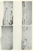 An illustration from The Supposed Effects of the Color Tone of the Background Upon the Coat Color of Mammals (1924)