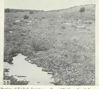 Picture 8 of 8 from The Supposed Effects of the Color Tone of the Background Upon the Coat Color of Mammals (1924), leaf 48