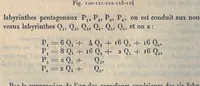 An illustration from Récréations mathématiques at problèmes des temps ancien et modernes. 2. éd. française traduite d'après la 4. éd., anglaise et enrichie par J. Fitz-Patrick (1907)