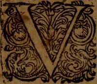 An illustration from R.D. Magistri Petri Lombardi Novariensis Episcopi Parisiensis : sententiarum libri IV. Quibus uniuersæ theologiæ summa continetur (1632)