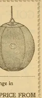 An illustration from The Reach official American League base ball guide (1883)