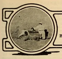 An illustration from The Reach official American League base ball guide (1883)
