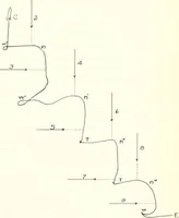 Picture 6 of 15 from Reactions to light in Planaria maculata with special reference to the function and structure of the eyes (1918), leaf 118