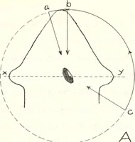 An illustration from Reactions to light in Planaria maculata with special reference to the function and structure of the eyes (1918)