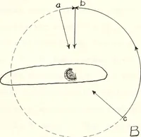 Picture 8 of 15 from Reactions to light in Planaria maculata with special reference to the function and structure of the eyes (1918), leaf 136