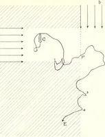 An illustration from Reactions to light in Planaria maculata with special reference to the function and structure of the eyes (1918)