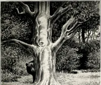 An illustration from Reality of Matter: A Critical Correspondence Between Heinrich Hensoldt, Ph. D. of Columbia University and a Member of The Order of the Brotherhood of India (1911) [Supplemental Harmonic Series] (1911)
