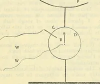 Picture 15 of 26 from The reality of psychic phenomena : raps, levitations, etc. (1916), leaf 150