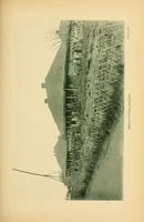 Picture 17 of 18 from Reality versus romance in South Central Africa : being an account of a journey across the continent from Benguella on the west through Bihe, Ganguella, ... to the mouth of the Zambesi on the east coast (1893), leaf 397