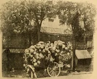 Picture 10 of 81 from The real Latin quarter (1901), leaf 26