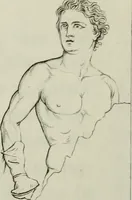 An illustration from Real Museo borbonico (1824)