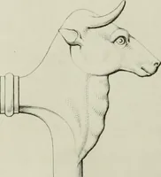 An illustration from Real Museo borbonico (1824)