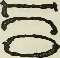 An illustration from Real Museo borbonico (1824)