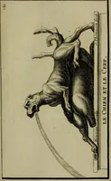 An illustration from Recüeil des figures, groupes, thermes, fontaines, vases, et autres ornemens tels qu'ils se voyent a présent dans le chateau et parc de Versailles : gravé d'après les originaux (1694)