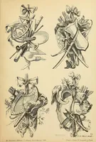 Picture 18 of 18 from Recüeil nouveau de differens cartouche inventez par le Sr. de la Joüe (1900), leaf 63