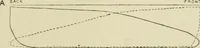 An illustration from Recent cotton mill construction and engineering (1894)