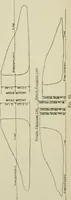 An illustration from Recent cotton mill construction and engineering (1894)