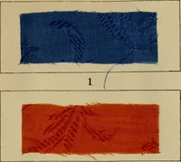 An illustration from Recent progress in the industries of dyeing & calico printing (1895)